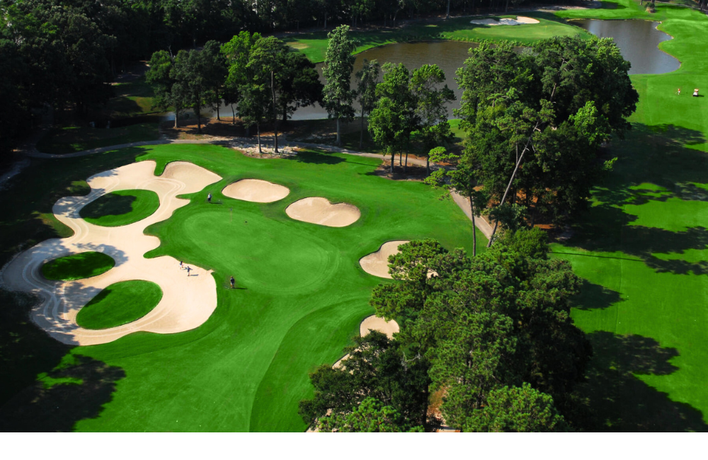 Guest Reward: https://gardencityrealty.icnd-cdn.com/images/guestrewards/Arcadian Shores.png